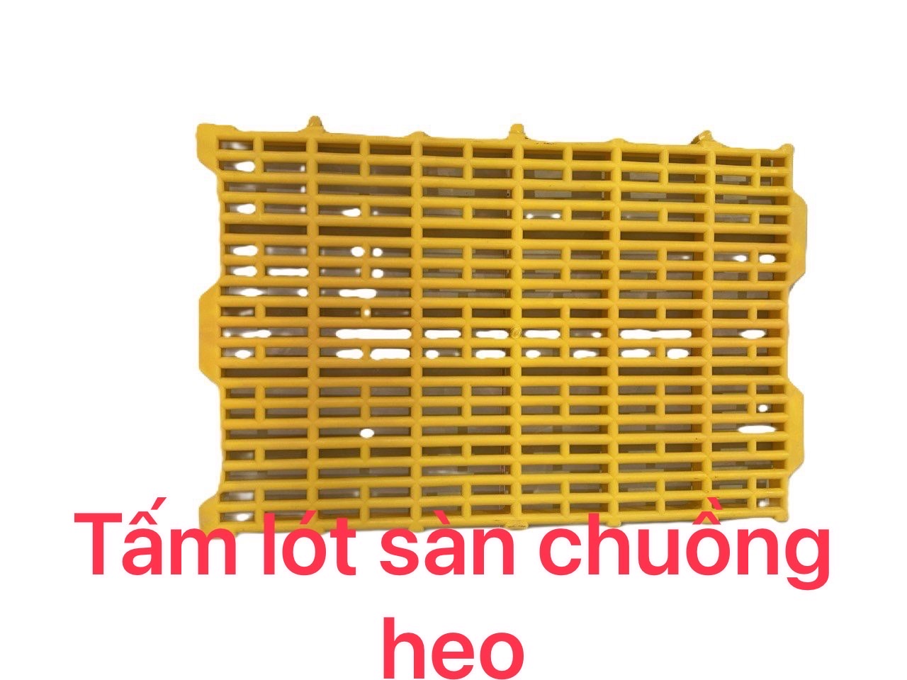 Tấm lót sàn chuồng heo